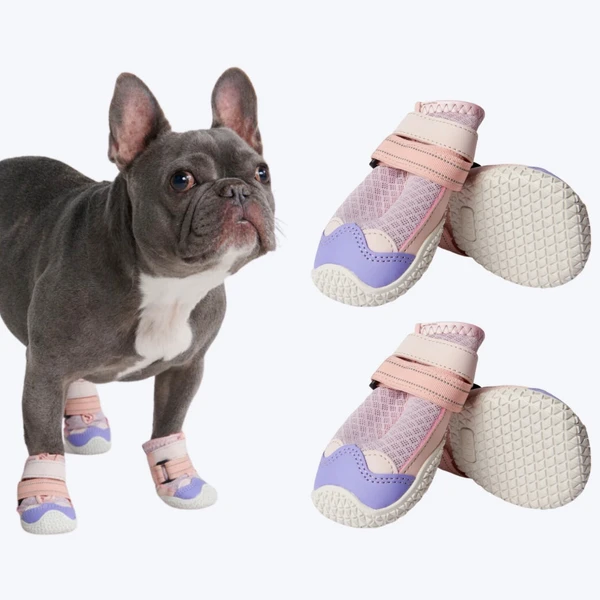 Chaussures pour chien sur pavé chaud - Rose Violet