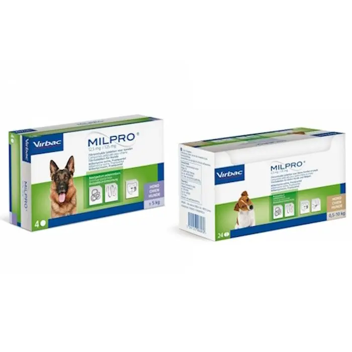 Milpro chien