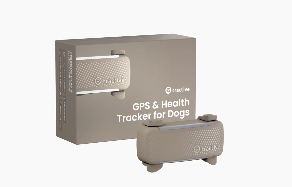 Tractive - N°1 des traceurs GPS pour chats et chiens