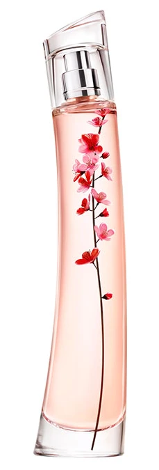 Flower Ikebana Sakura