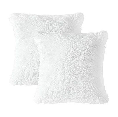 Lot de coussin blanc