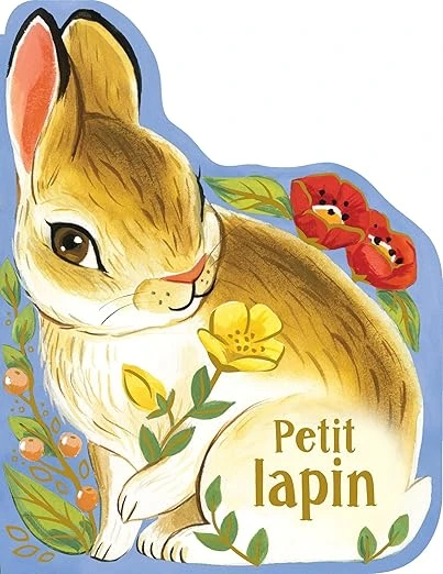 Petit lapin Nouveauté littéraire – Illustré, 25 mars 2022