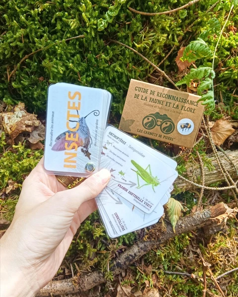 Carnet Insectes des jardins