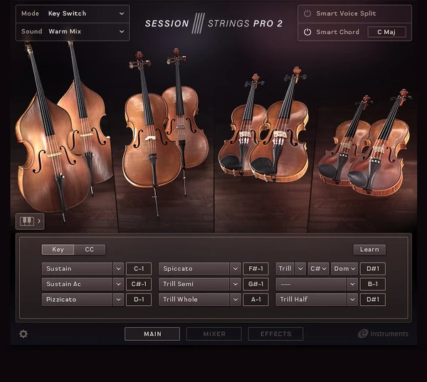 SESSION STRINGS PRO 2