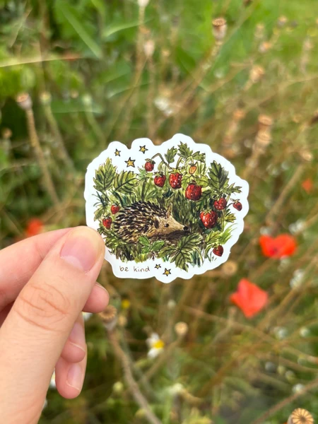 "Strawberry Hedgehog" Vinyl Sticker