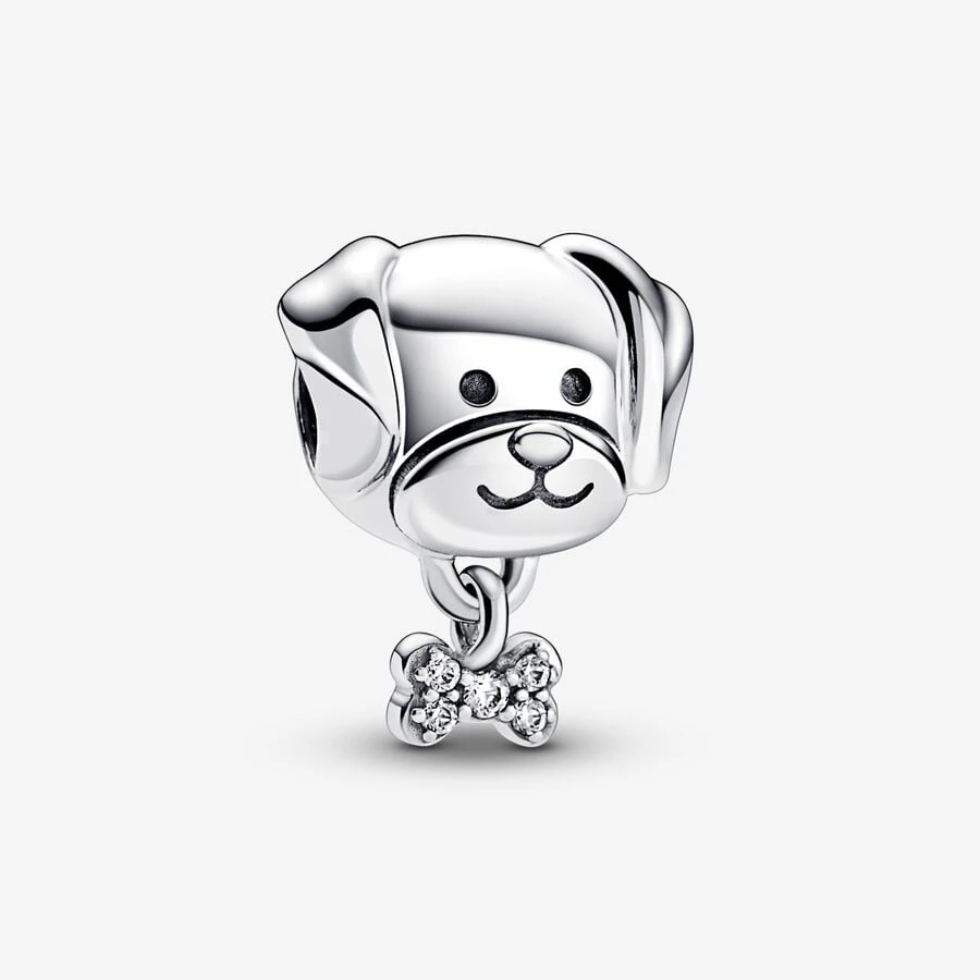 Charm Chien & Os 