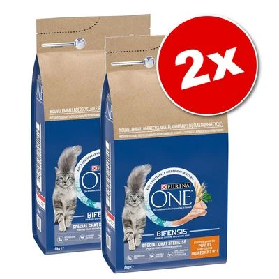 Croquettes PURINA ONE pour chat 
