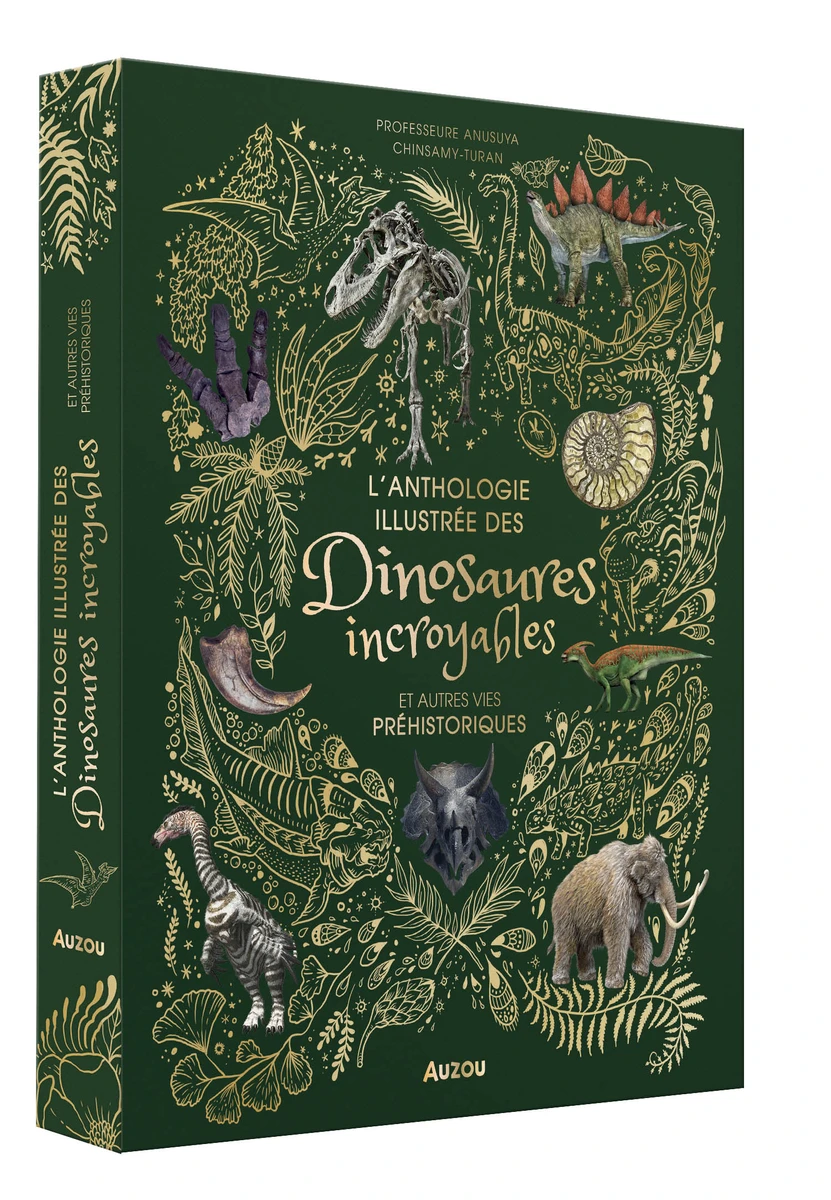 L'anthologie illustrée des dinosaures incroyables et autres vies préhistoriques - Livres enfants - Auzou
