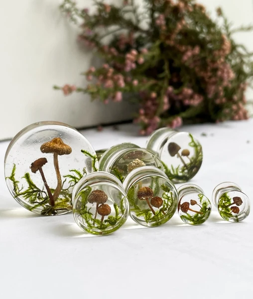 Natural moss mushroom gauges, real plug, mushroom plug, Real mushroom plugs, mushroom tunnels
