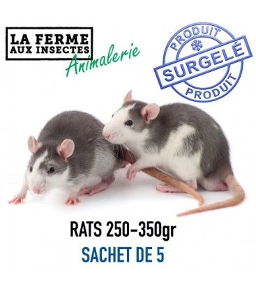 RATS 250-350 gr SACHET DE 5