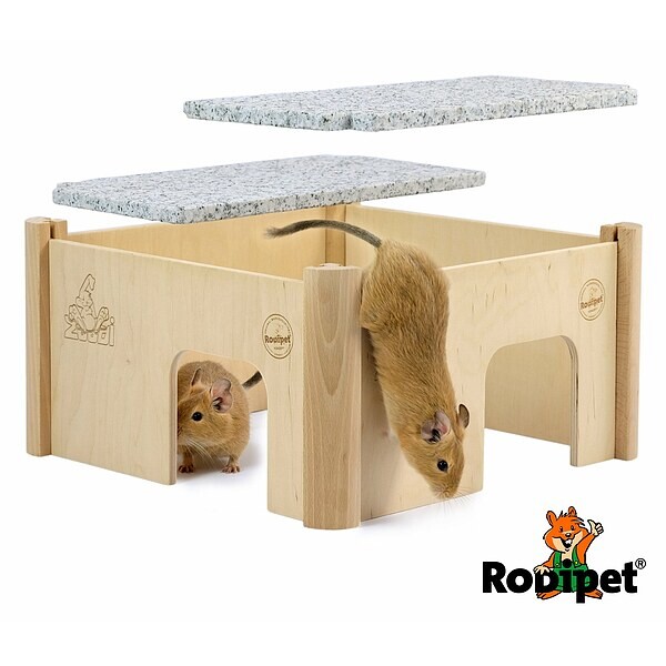 ZooDi® +GRANiT Degu House