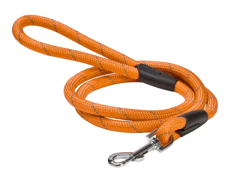 Bobby - Laisse Walk 120cm pour Chiens - Orange | Animalis