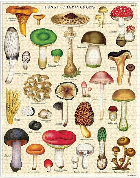 Vintage puzzle mushroom