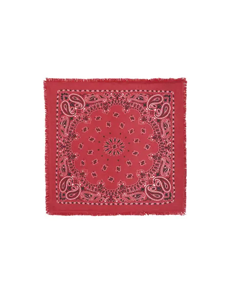 Petit Bandana Hachi