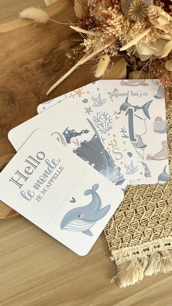 Cartes étapes bébé de la mer - Animaux - baleine - océan - naissance - photos souvenirs bébé - Première année bébé - cadeau grossesse
