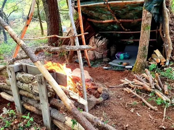 Stage de survie