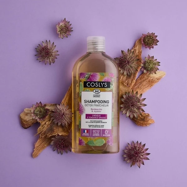 Shampoing Détox Fraîcheur - Cheveux à Tendance Grasse