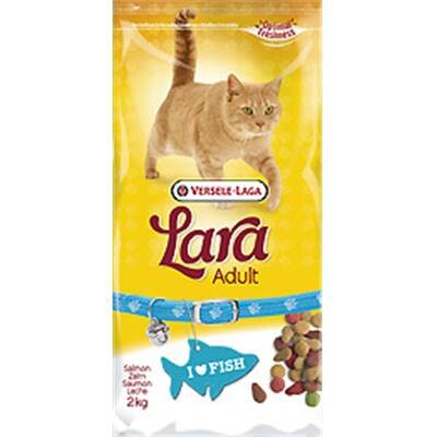200 repas pour nos chats, chattes et chatons !
