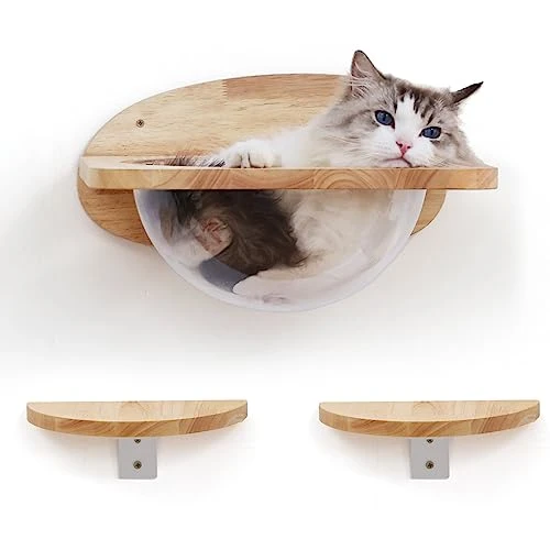 FUKUMARU Meuble Mural pour Chat, étagères et perchoirs Transparents pour Chat, lit de qualité supérieure pour Dormir, Jouer, Grimper et se détendre, Peut Facilement Supporter jusqu'à 15,9 kg