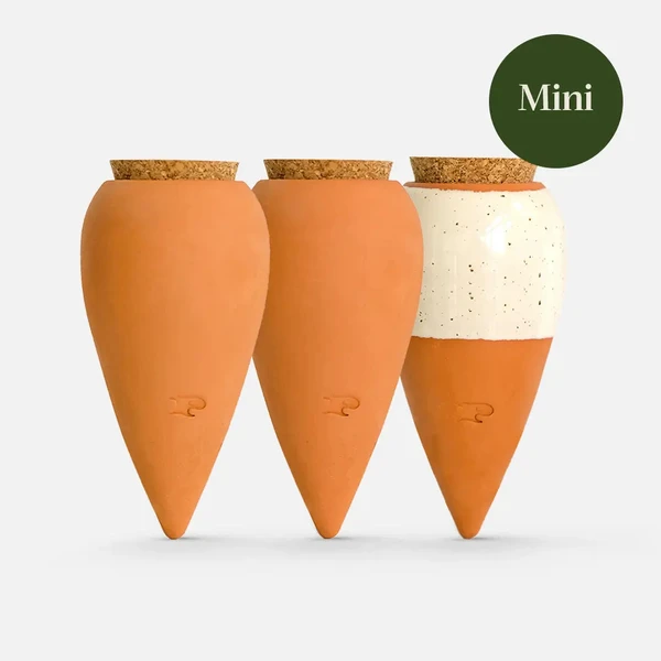 Mini Olla Trio