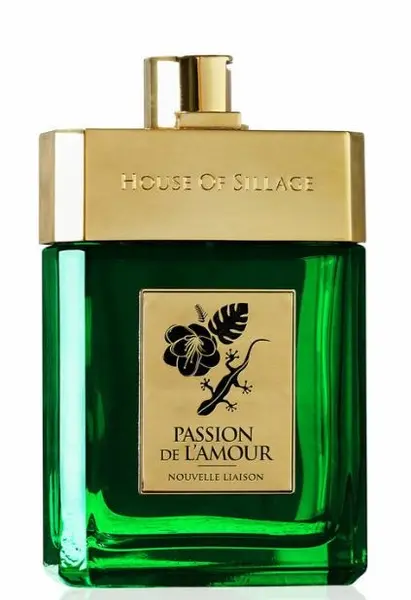 Passion De L'Amour Nouvelle Liaison