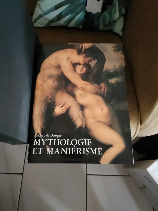 Livre d'art mythologie et maniérisme fonds mercator sous cartonnage