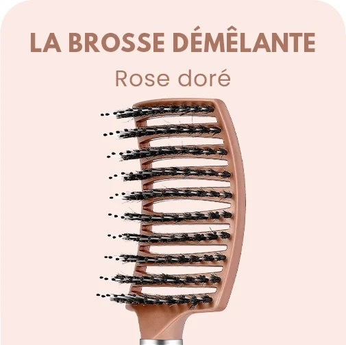 LA BROSSE DÉMÊLANTE ANTI CASSE