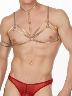 Strapping Bra Harness