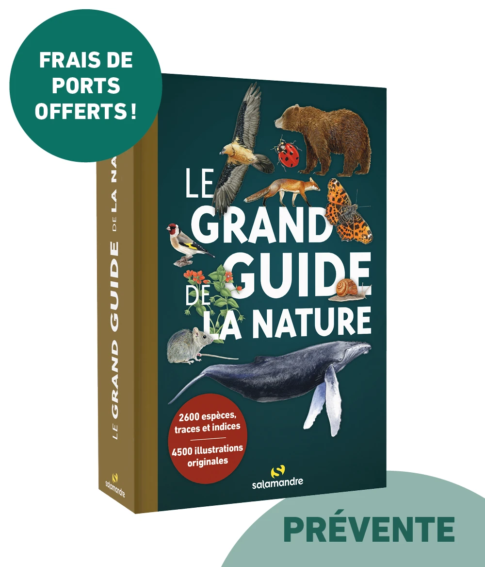 PRÉVENTE Le grand guide de la nature (offre spéciale communauté) > Boutique - Salamandre > Boutique - Salamandre