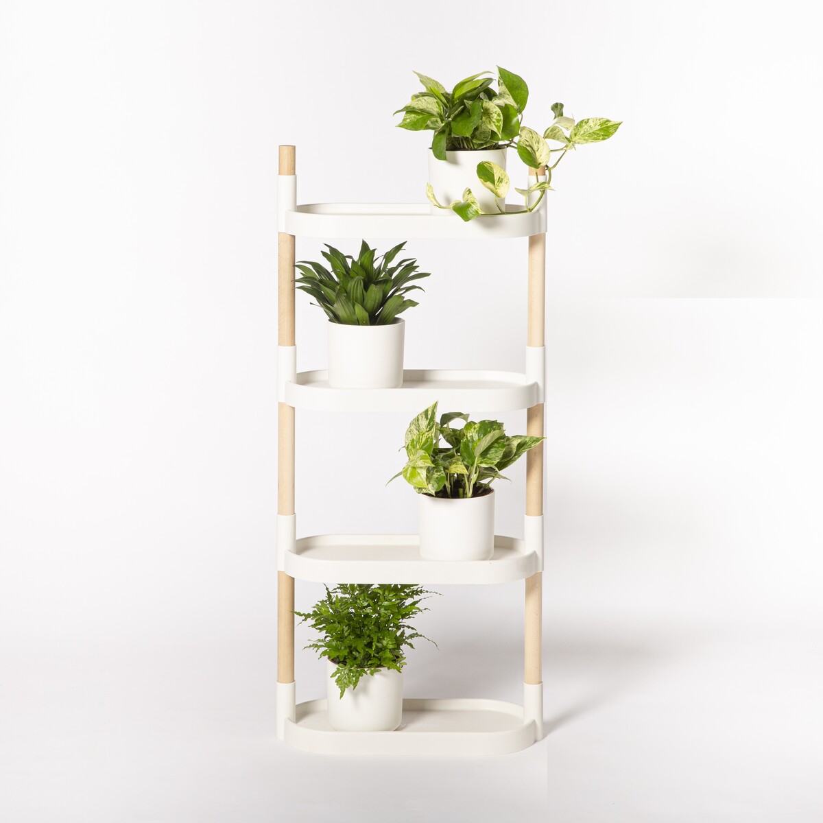 Étagère pour plantes