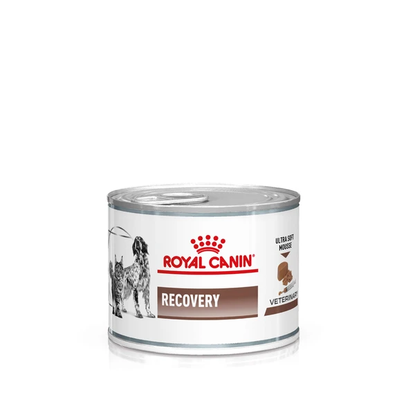 Royal Canin Veterinary Recovery p&acirc;t&eacute;e pour chien et chat