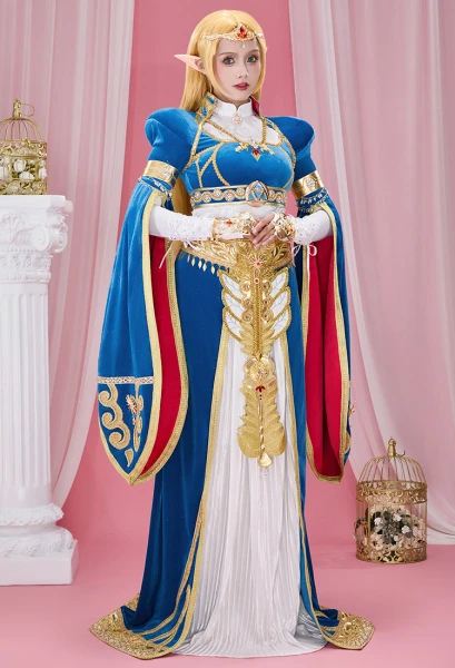The Legend of Zelda: Breath of the Wild Princesse Zelda Costume de Cosplay
