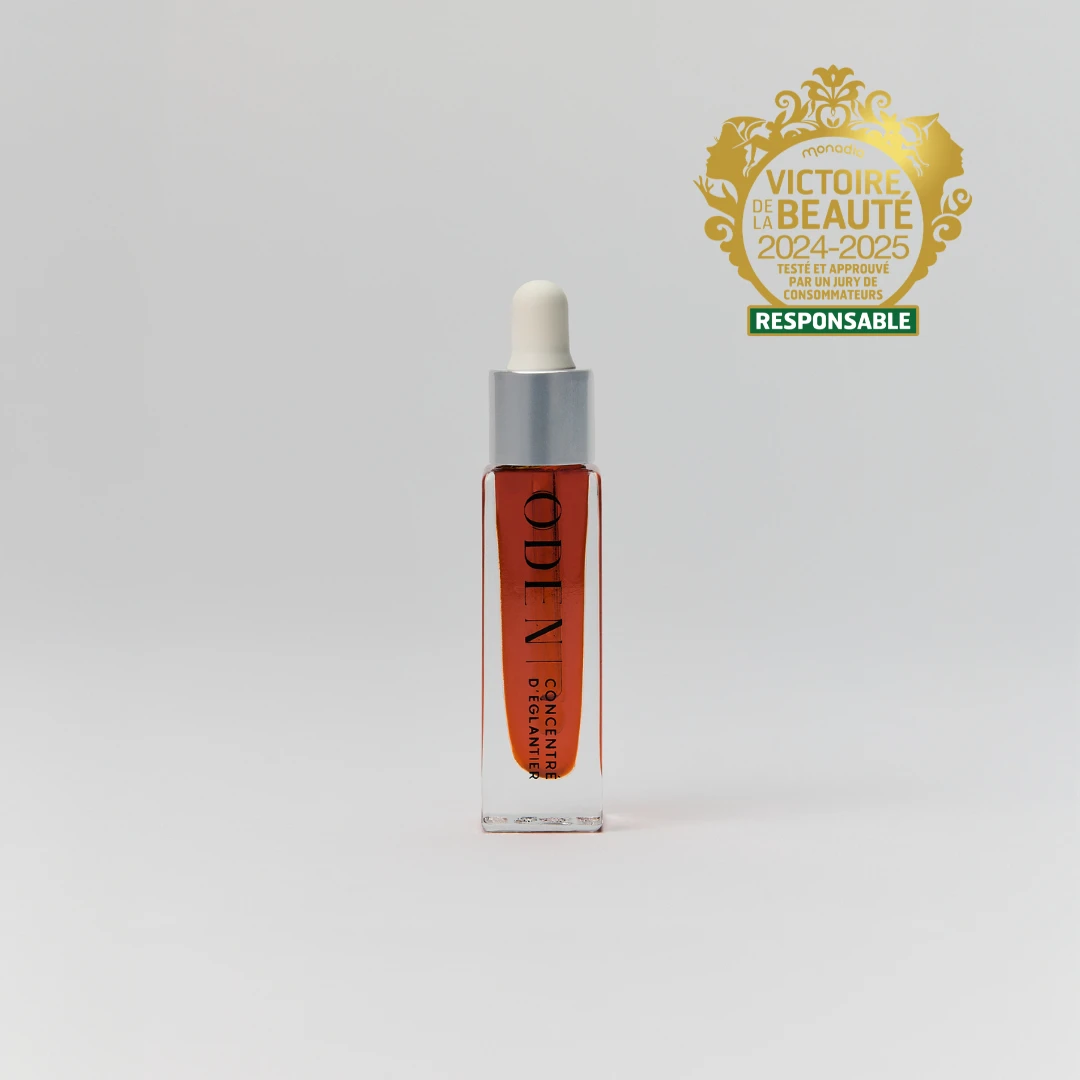 CONCENTRÉ D'ÉGLANTIER