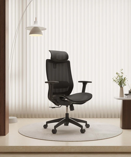 Chaise de Bureau Ergonomique Back Support BS4 | FlexiSpot FR