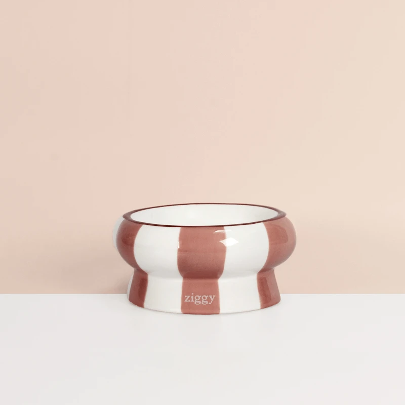 Gamelle pour chat - Cool Cat Club