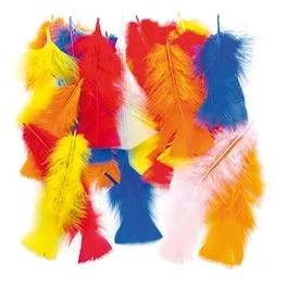 Feathers 