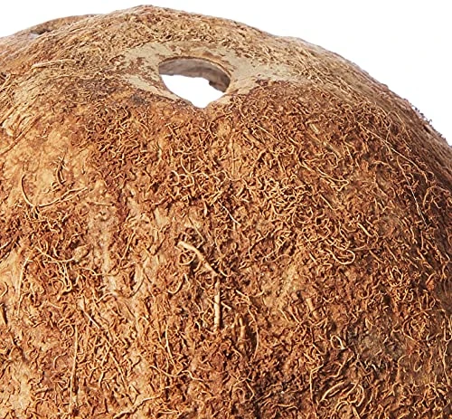 Trixie Maison en Noix de Coco 100% Naturel pour Reptile/Amphibien