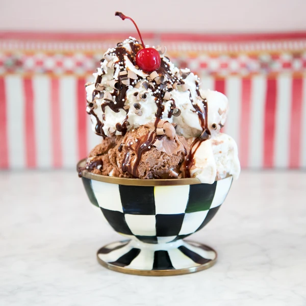 Enamel Check Ice Cream Dish