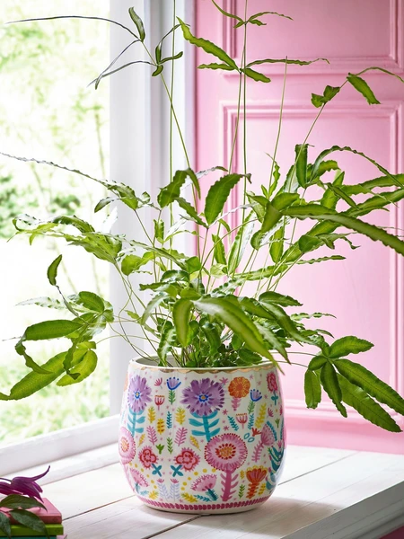 Lucy Tiffney Large Plant Pot
