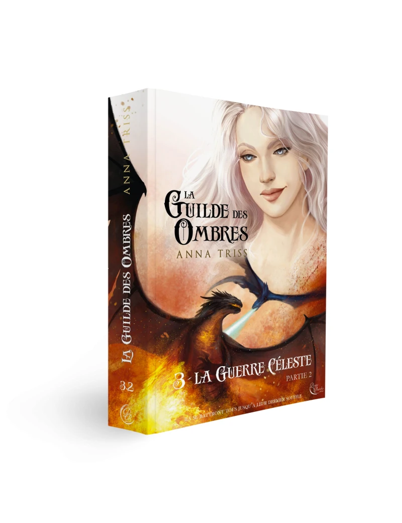La Guilde des Ombres, Tome 3, Partie 2