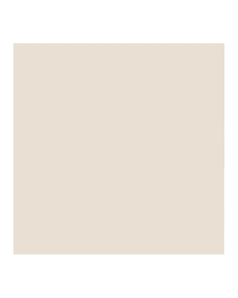 Peinture Bouleau| Peinture intérieure veloutée | Pure & Paint