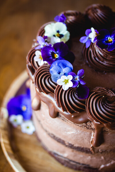 Layer cake au chocolat vegan - Gâteau d'anniversaire vegan