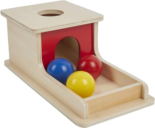 Boîte à Monnaie Montessori En Bois Toddmomy – Jeu éducatif 1-3 Ans – Motricité Fine – 5 Pièces – Cadeau Bébé