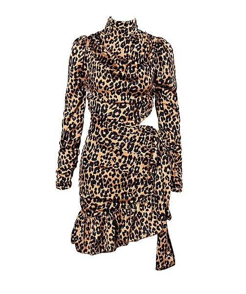 Kenya Leopard Print Satin Dress