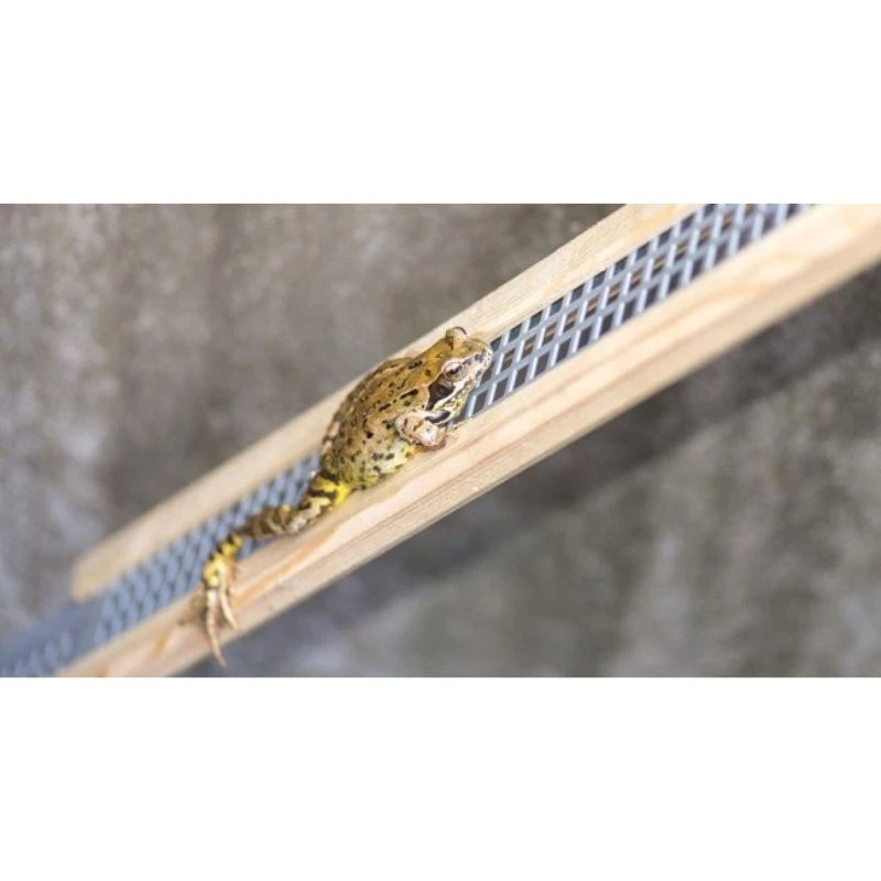 Rampe anti-noyade pour amphibiens