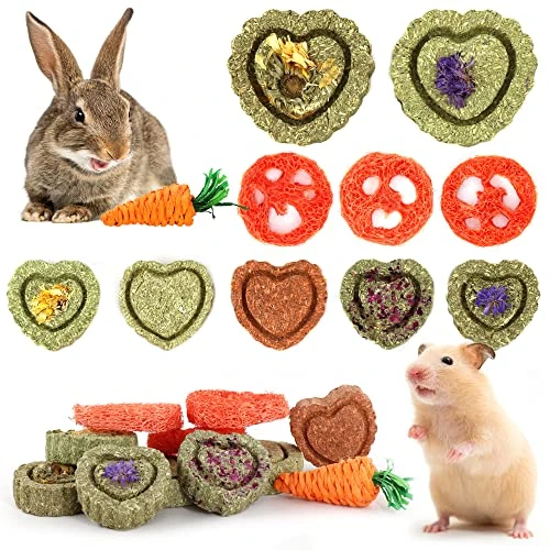 11 Jouets pour Petits Animaux,Jouets à Mâcher pour Lapins,Jouets à Mâcher Timothy Hay Naturel,Améliorer la Santé Dentaire,pour Hamster/Lapin/Cochon d'Inde/Marmotte/écureuils Broient Les Dents