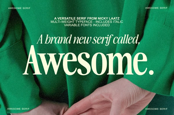 The Awesome Serif Family (32 Fonts), a Serif Font by Nicky Laatz