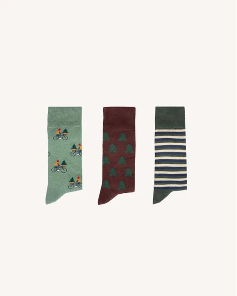 Lot de chaussettes x3 vert & multicolores coton - SOCKS