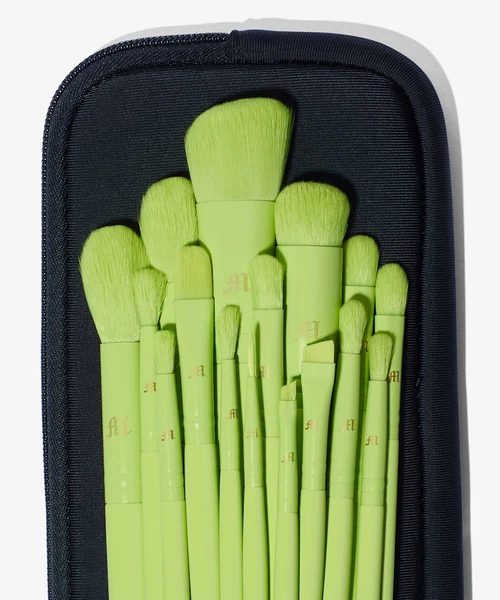 16 Piece Brush Set & Brush Pouch