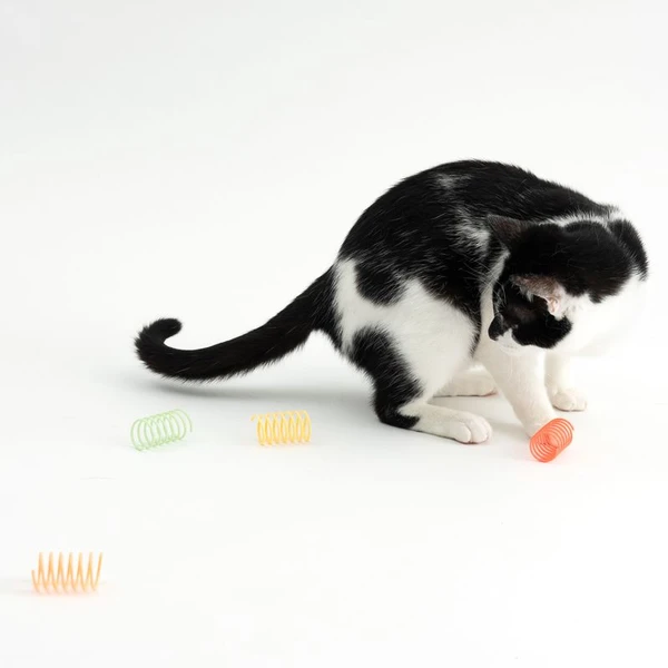 Lot de spirales TIAKI pour chat ► Acheter pas che